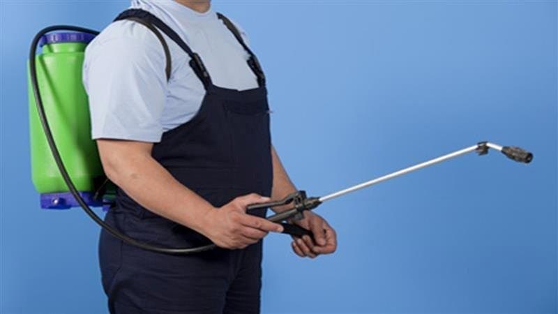 ANTIPEST: Φωτογραφίες & Βίντεο