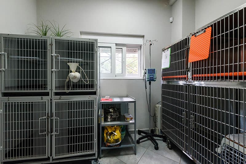 ANTONOPOULOS KOSTAS - TSOUPA ELENI - SMALL ANIMAL CLINIC KALAMATA: Φωτογραφίες & Βίντεο