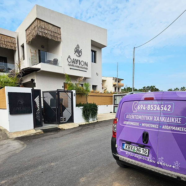 APENTOMOTIKI CHALKIDIKIS: Φωτογραφίες & Βίντεο
