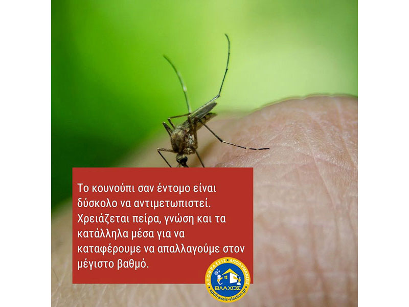 ΑΠΟΛΥΜΑΝΣΕΙΣ ΑΠΕΝΤΟΜΩΣΕΙΣ ΒΛΑΧΟΣ ΑΛΙΜΟΣ: Φωτογραφίες & Βίντεο