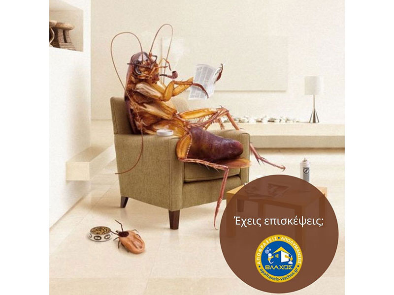 ΑΠΟΛΥΜΑΝΣΕΙΣ ΑΠΕΝΤΟΜΩΣΕΙΣ ΒΛΑΧΟΣ ΑΛΙΜΟΣ: Φωτογραφίες & Βίντεο