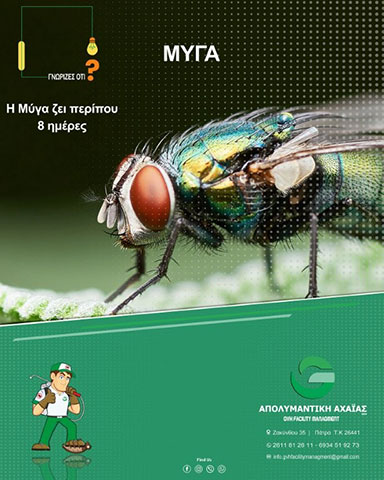 APOLYMANTIKI ACHAIAS GVH: Φωτογραφίες & Βίντεο