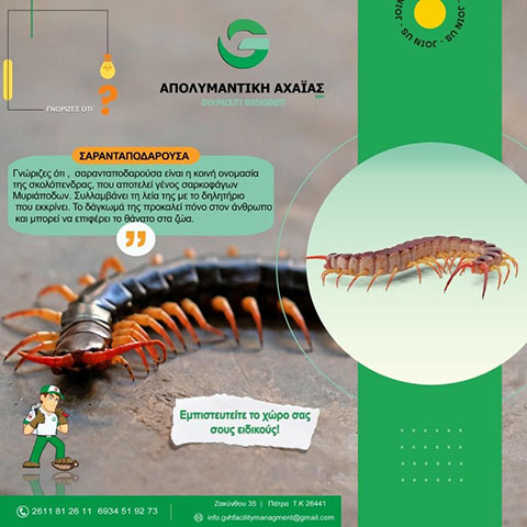 APOLYMANTIKI ACHAIAS GVH: Φωτογραφίες & Βίντεο