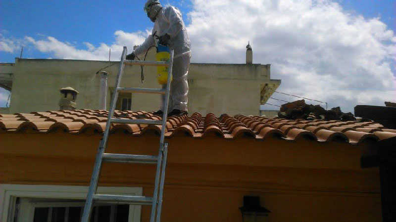 Έλεγχος πληθυσμού και αντιμετώπιση σφηκών σε σκεπή