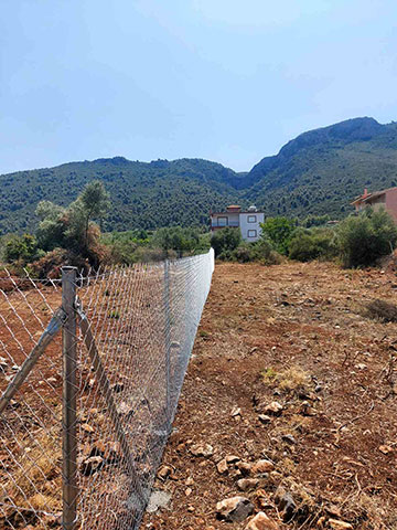 ΑΡΑΠΑΚΗΣ Α. ΓΕΩΡΓΙΟΣ: Φωτογραφίες & Βίντεο