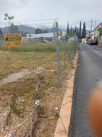 ΑΡΑΠΑΚΗΣ Α. ΓΕΩΡΓΙΟΣ: Φωτογραφίες & Βίντεο