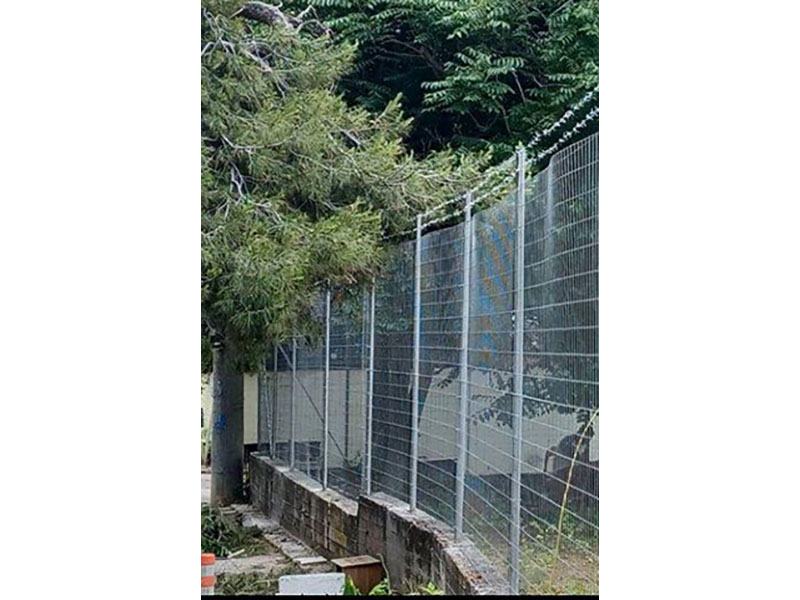ΑΡΑΠΑΚΗΣ ΠΑΝΑΓΙΩΤΗΣ: Φωτογραφίες & Βίντεο