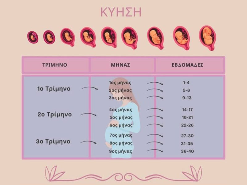 ARCHONTAKIS GKAETANO: Φωτογραφίες & Βίντεο