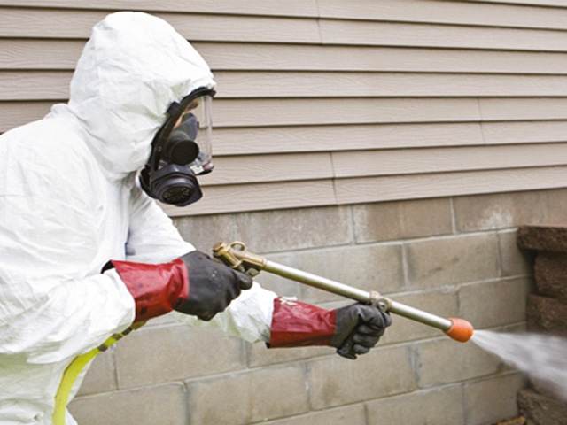 ARTION PEST CONTROL - ERIKTZIS GEORGIOS: Φωτογραφίες & Βίντεο