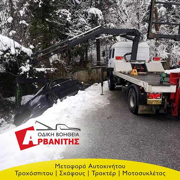 ΑΡΒΑΝΙΤΗΣ ΟΔΙΚΗ: Φωτογραφίες & Βίντεο