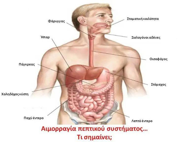 ΑΡΒΑΝΙΤΗ ΒΑΣΙΛΙΚΗ: Φωτογραφίες & Βίντεο