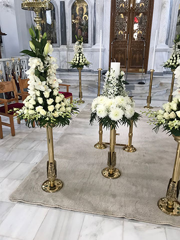 ASIMAKOPOULOS APOSTOLOS: Φωτογραφίες & Βίντεο