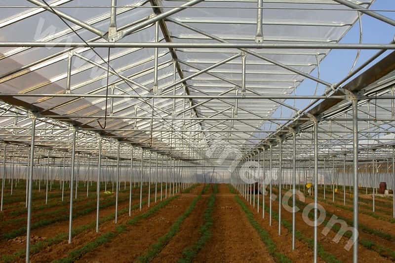 Εσωτερικός χώρος θερμοκηπίου askotherm 5000 και ανοιγόμενο παράθυρο οροφής