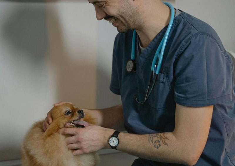 ATHENS VET CLINIC: Φωτογραφίες & Βίντεο