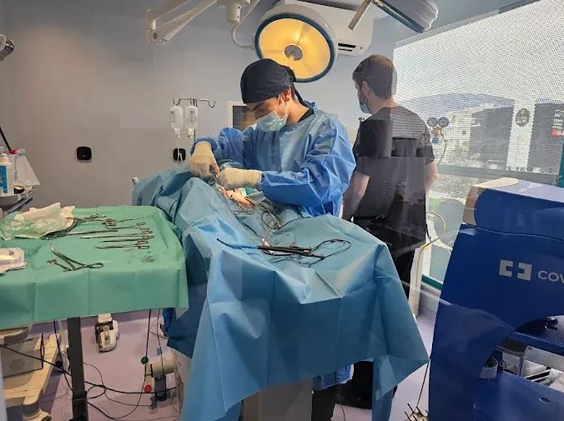 ATHENS VET CLINIC: Φωτογραφίες & Βίντεο