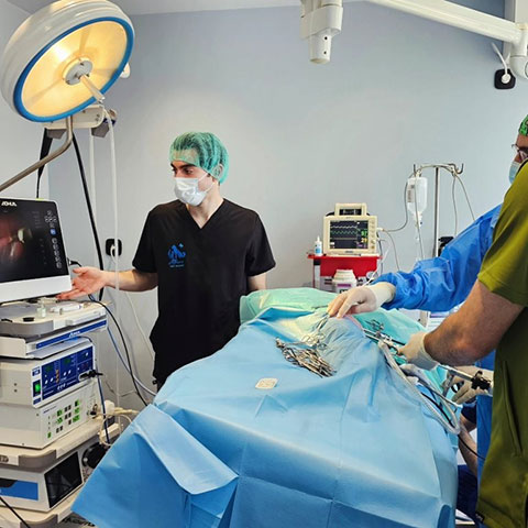 ATHENS VET CLINIC: Φωτογραφίες & Βίντεο