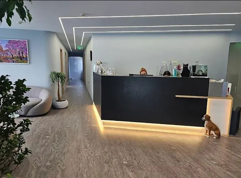 ATHENS VET CLINIC: Φωτογραφίες & Βίντεο