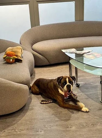 ATHENS VET CLINIC: Φωτογραφίες & Βίντεο