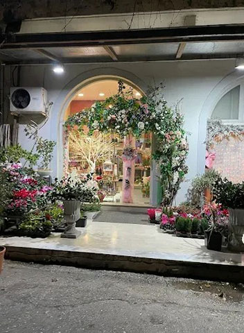 AZALEA: Φωτογραφίες & Βίντεο
