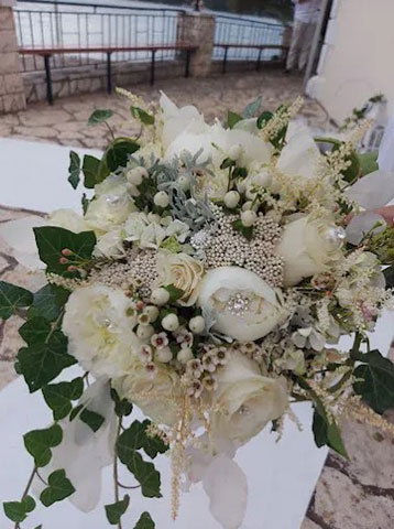 AZALEA: Φωτογραφίες & Βίντεο