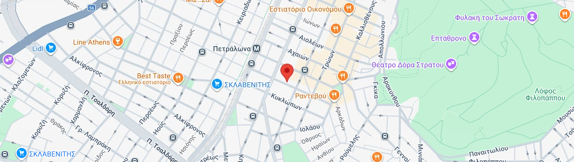 Λογότυπο Α. ΕΠΙΣΤΗΜΟΝΙΚΗ - PROTECTOR