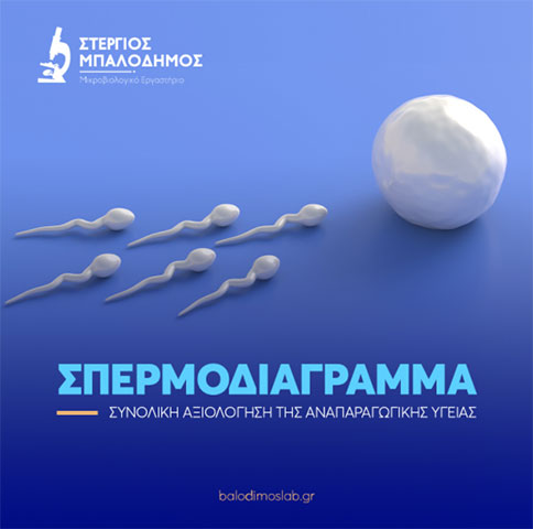 BALODIMOS STERGIOS: Φωτογραφίες & Βίντεο