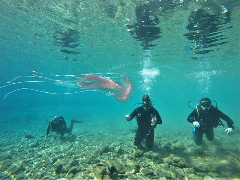 BALOS TRAVEL: Φωτογραφίες & Βίντεο