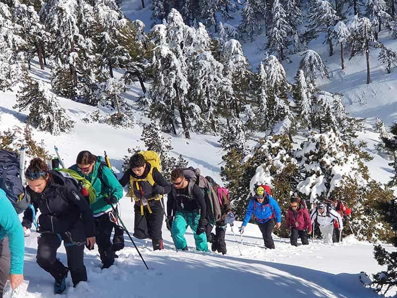 BASE CAMP: Φωτογραφίες & Βίντεο