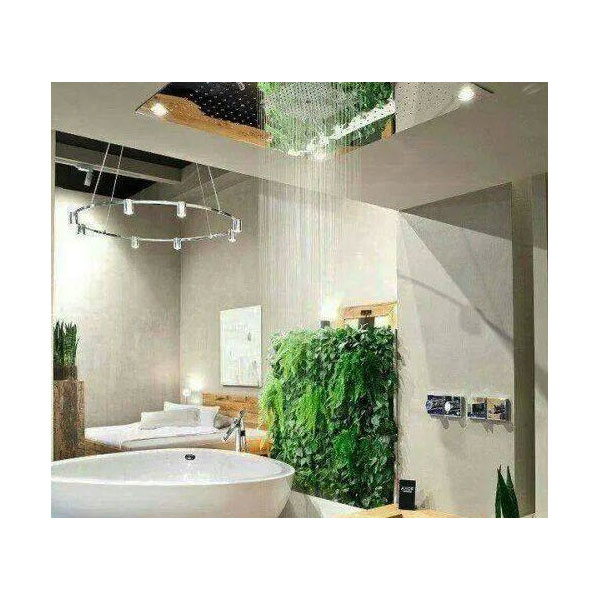 BELLISIMO BAGNO: Φωτογραφίες & Βίντεο