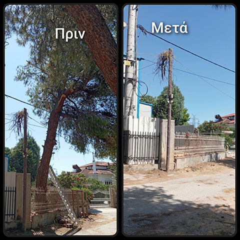 BISTAS GIANNIS: Φωτογραφίες & Βίντεο