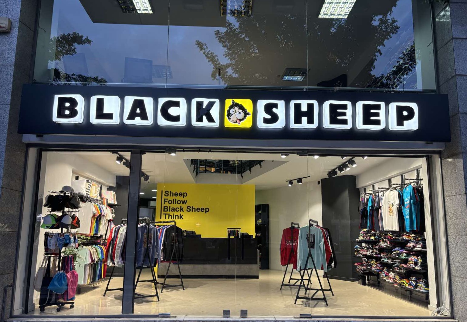 BLACKSHEEP: Φωτογραφίες & Βίντεο