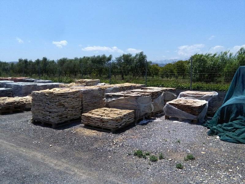 BOKOS ATHANASIOS: Φωτογραφίες & Βίντεο
