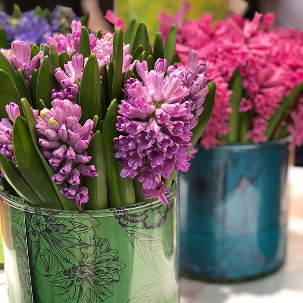 BOSONIS ART & FLOWER: Φωτογραφίες & Βίντεο