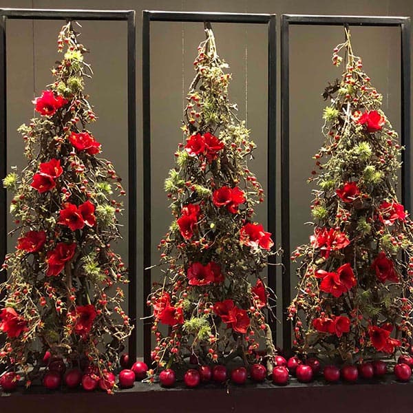 BOSONIS ART & FLOWER: Φωτογραφίες & Βίντεο