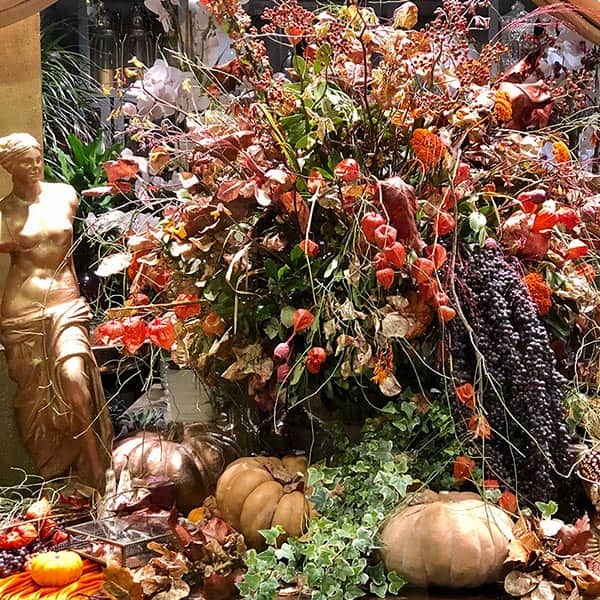 BOSONIS ART & FLOWER: Φωτογραφίες & Βίντεο