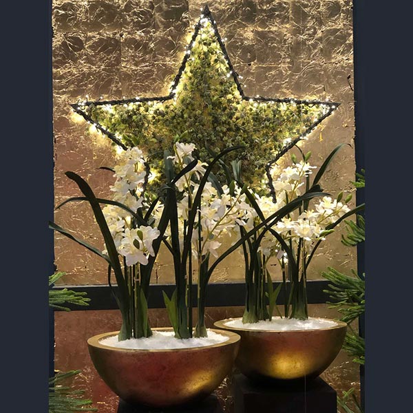 BOSONIS ART & FLOWER: Φωτογραφίες & Βίντεο