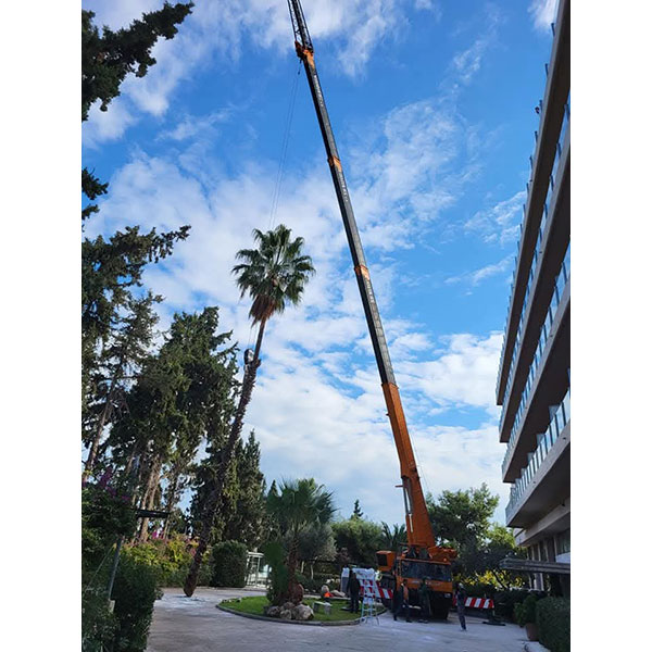 ΜΠΟΖΙΚΗΣ ΑΕ: Φωτογραφίες & Βίντεο