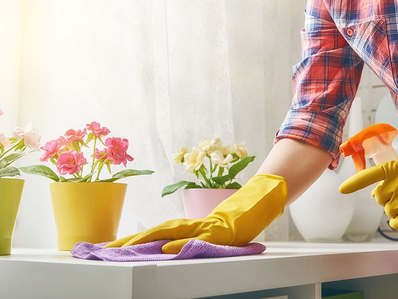 BRIGHT LIGHT CLEANING SERVICES: Φωτογραφίες & Βίντεο