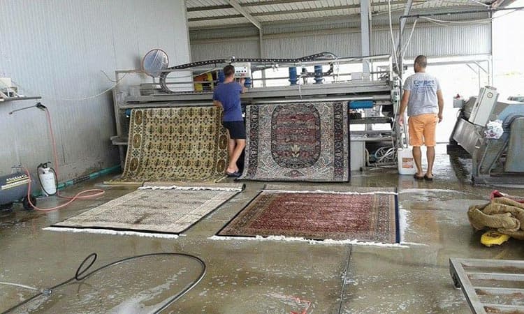 CARPET SERVICE: Φωτογραφίες & Βίντεο