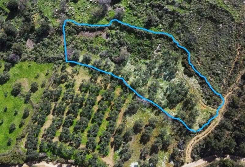 Sale of plot 2449 sq.m. Kolymvari, Kalami Chania