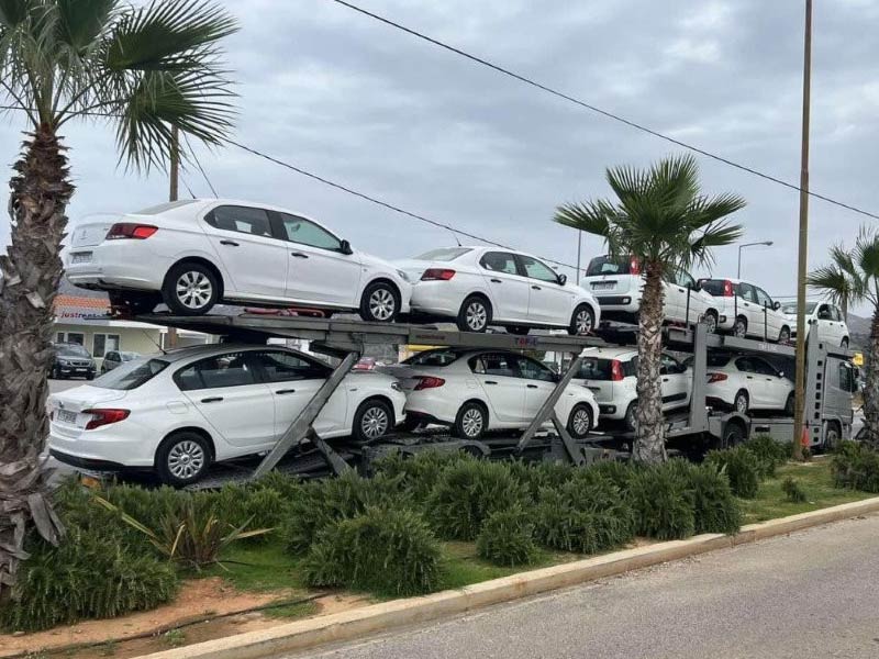 ΧΑΪΝΗΣ GROUP: Φωτογραφίες & Βίντεο