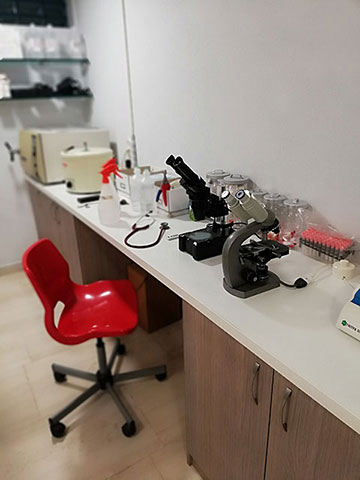 ΧΑΡΛΑΥΤΗΣ ΣΠΥΡΟΣ: Φωτογραφίες & Βίντεο
