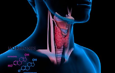 ΧΑΤΖΙΔΟΥ ΑΝΑΣΤΑΣΙΑ MICROLABSERRES: Φωτογραφίες & Βίντεο