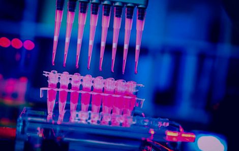 ΧΑΤΖΙΔΟΥ ΑΝΑΣΤΑΣΙΑ MICROLABSERRES: Φωτογραφίες & Βίντεο