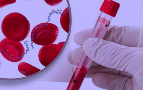 ΧΑΤΖΙΔΟΥ ΑΝΑΣΤΑΣΙΑ MICROLABSERRES: Φωτογραφίες & Βίντεο