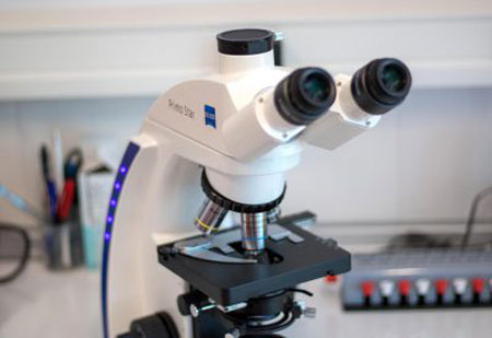 ΧΑΤΖΙΔΟΥ ΑΝΑΣΤΑΣΙΑ MICROLABSERRES: Φωτογραφίες & Βίντεο