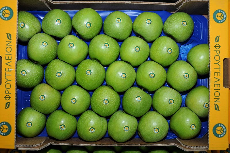 CHATZISALATAS AE FROUTELEION: Φωτογραφίες & Βίντεο