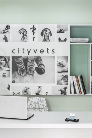 CITY VETS: Φωτογραφίες & Βίντεο