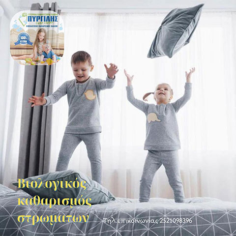 CLEAN CARPET PIRGILIS OE: Φωτογραφίες & Βίντεο