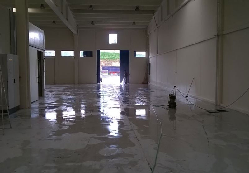 CLEAN HOUSE: Φωτογραφίες & Βίντεο